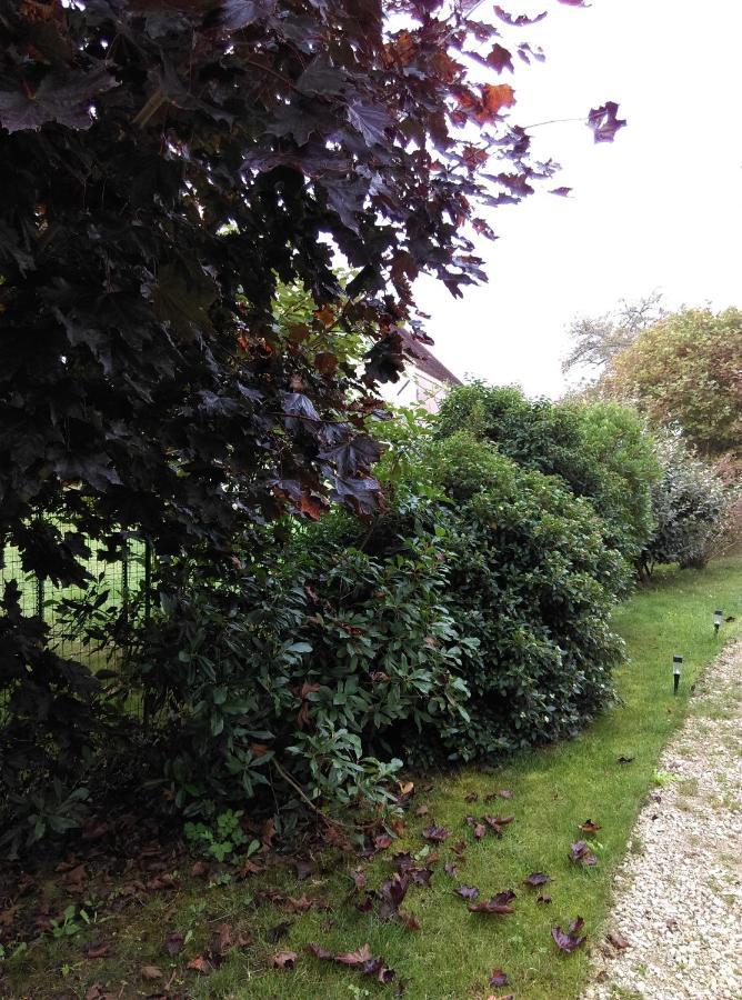 Ode Au Bonheur St Georges Sur Cher Saint-Georges-sur-Cher Buitenkant foto