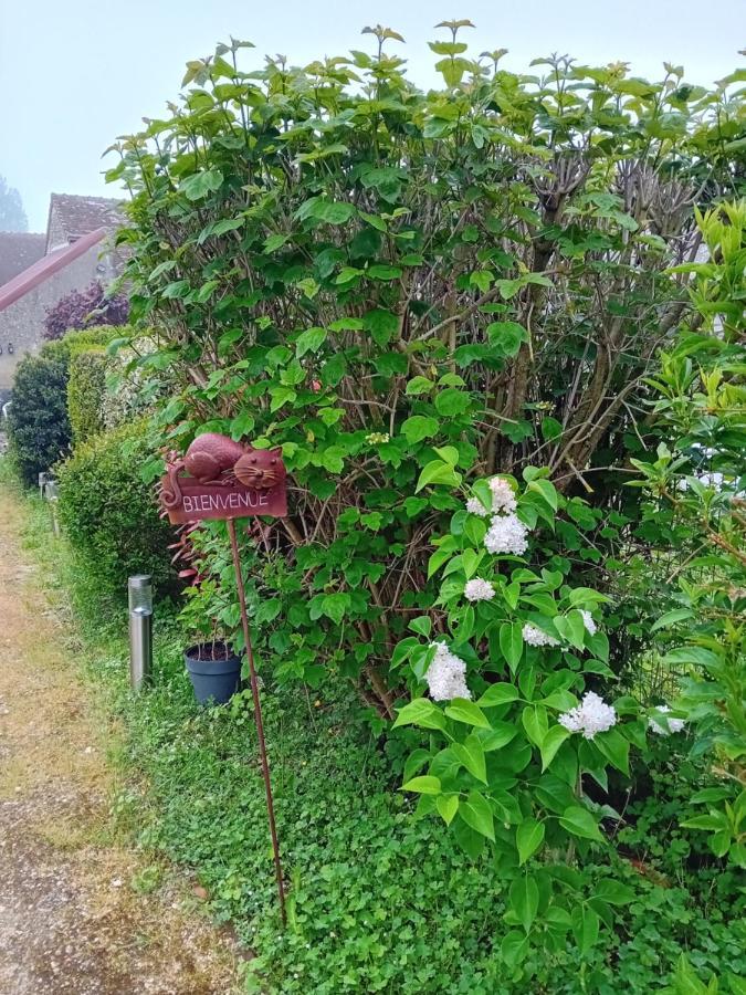 Ode Au Bonheur St Georges Sur Cher Saint-Georges-sur-Cher Buitenkant foto