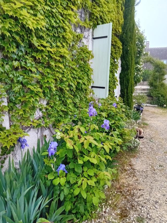 Ode Au Bonheur St Georges Sur Cher Saint-Georges-sur-Cher Buitenkant foto